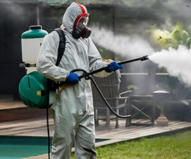 Pest Control Services